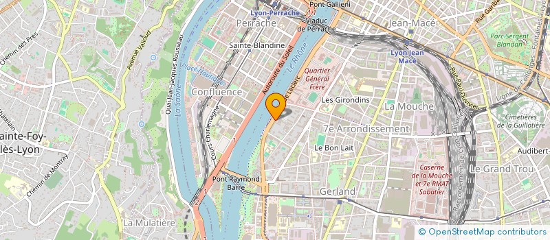 localisation de l'entreprise SYND COPROPRIETE LE FLEUVE MASSE  LYON