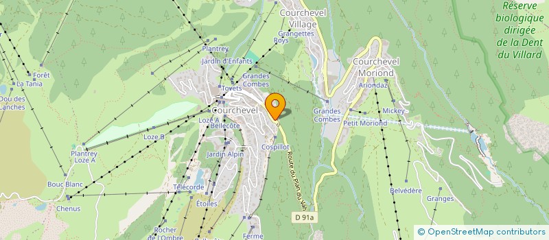 localisation de l'entreprise SYND COPROPRIETE LES BALCONS DE PRALONG à COURCHEVEL