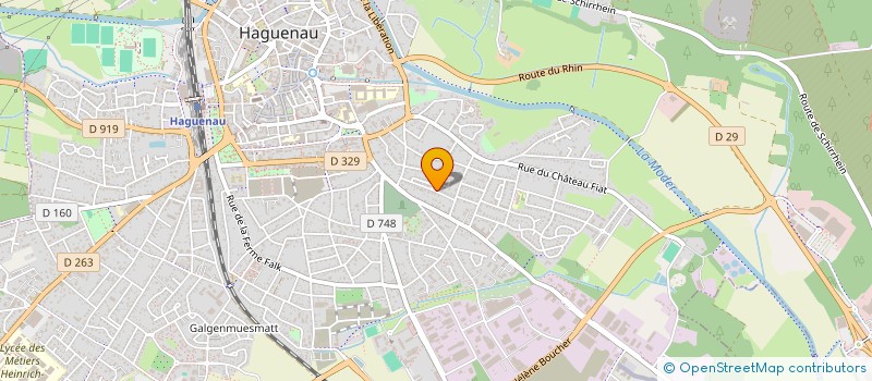 localisation de l'entreprise SYND COPROPRIETE LES ESCARGOTS  HAGUENAU