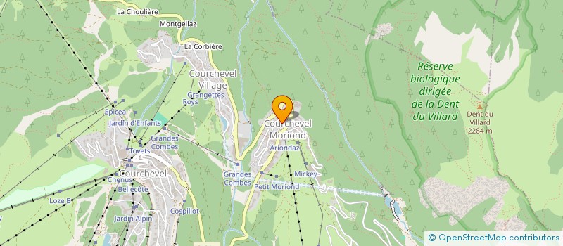 localisation de l'entreprise SYND COPROPRIETE OURSE BLEUE à COURCHEVEL