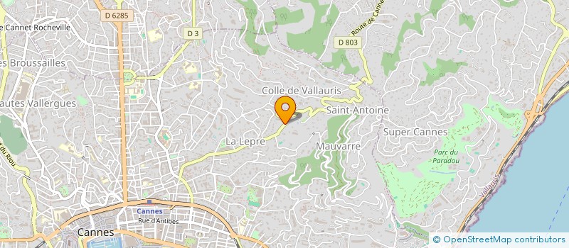 localisation de l'entreprise SYND CTIM BELLA VISTA  CANNES