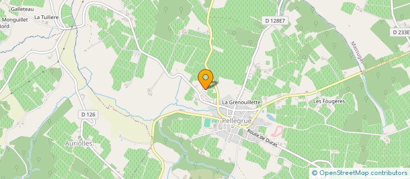 localisation de l'entreprise SYND D INITIATIVE BUREAU DU TOURISME à PELLEGRUE