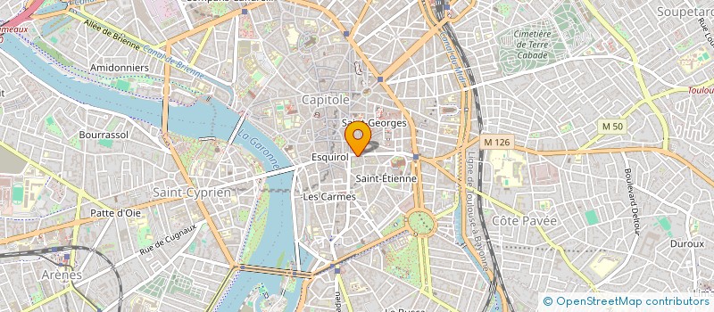 localisation de l'entreprise SYND DE COPROP RUE DE METZ à TOULOUSE