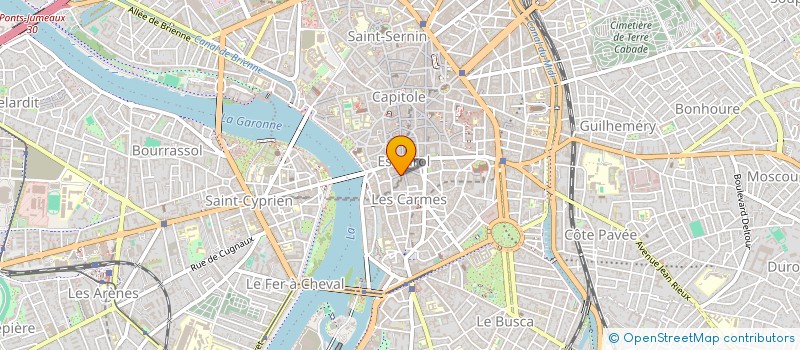 localisation de l'entreprise SYND DE COPROP RUE DU COQ D'INDE  TOULOUSE