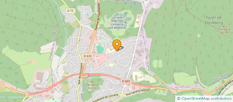 localisation de l'entreprise SYND DE COPROPRIETE RES CRUSEM 10  SAINT-AVOLD