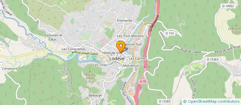 localisation de l'entreprise SYND ELECTRONIQUE & ELECTROMENAGER HLT  LODEVE