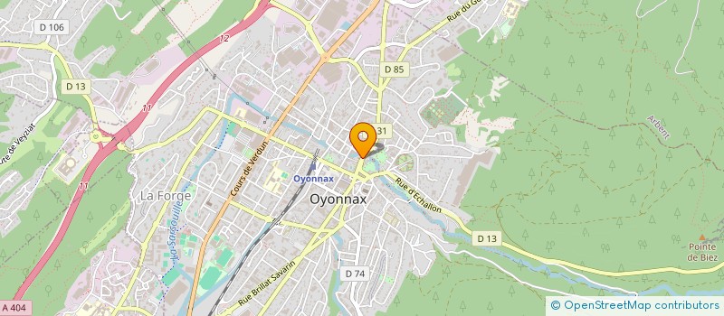 localisation de l'entreprise SYND FABRIC ARTICLE MATIER PLASTIQUE à OYONNAX