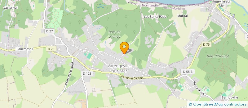 localisation de l'entreprise SYND MANOIR DE L AILLY  VARENGEVILLE-SUR-MER