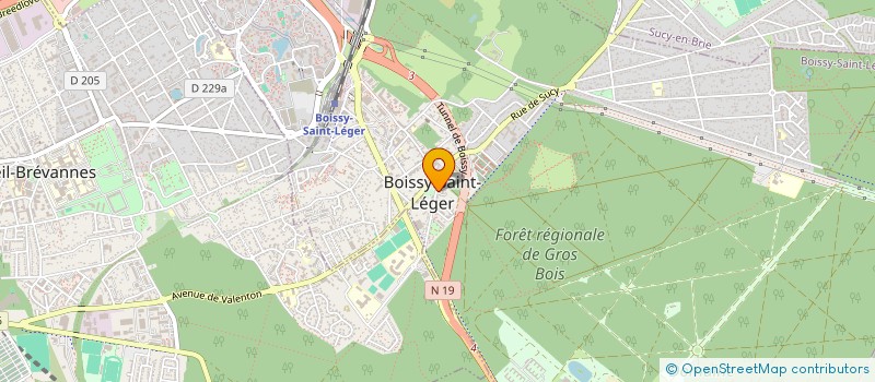 localisation de l'entreprise SYND POUR PISCI REPOS MONTA BOISSY ST LE à BOISSY-SAINT-LEGER