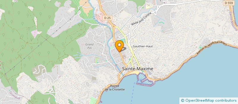 localisation de l'entreprise SYND STE MAXIME LES PLAGES à SAINTE-MAXIME