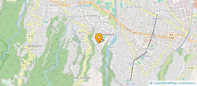 localisation de l'entreprise SYND TERRASSES DE MONTGAILLARD à SAINT-DENIS