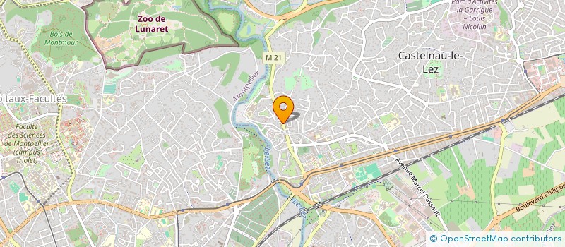 localisation de l'entreprise SYNDIC 21 à CASTELNAU-LE-LEZ