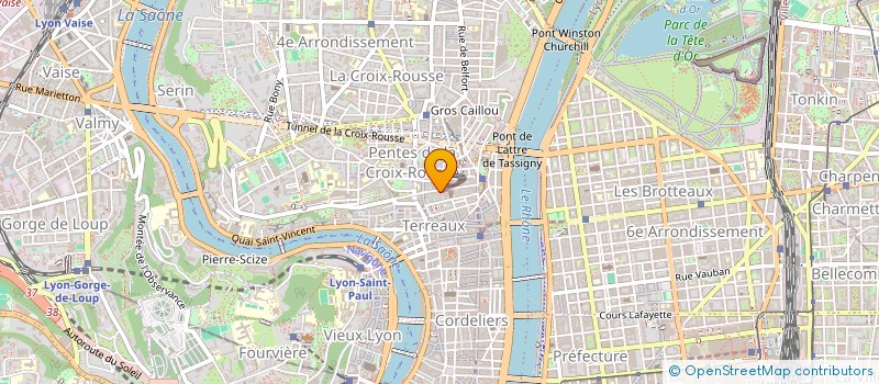 localisation de l'entreprise SYNDIC 24 RUE BURDEAU à LYON 1ER