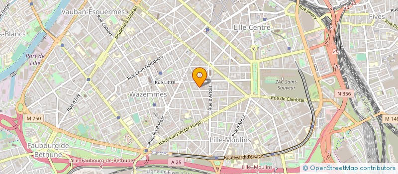 localisation de l'entreprise SYNDIC BENEVOLE DU 65 RUE CAUMARTIN à LILLE