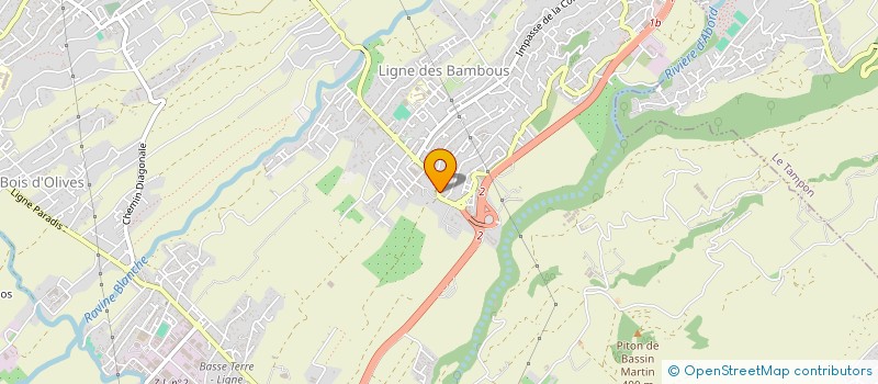 localisation de l'entreprise SYNDIC BENEVOLE LES HIPPOCAMPES à SAINT-PIERRE
