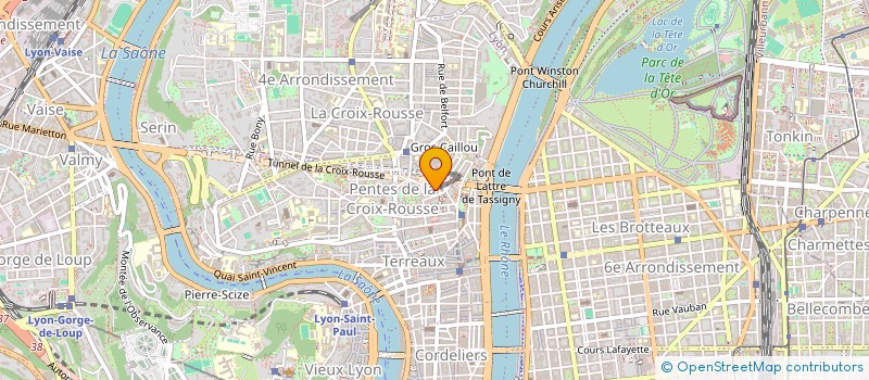 localisation de l'entreprise SYNDIC COP 14 RUE LEMOT à LYON