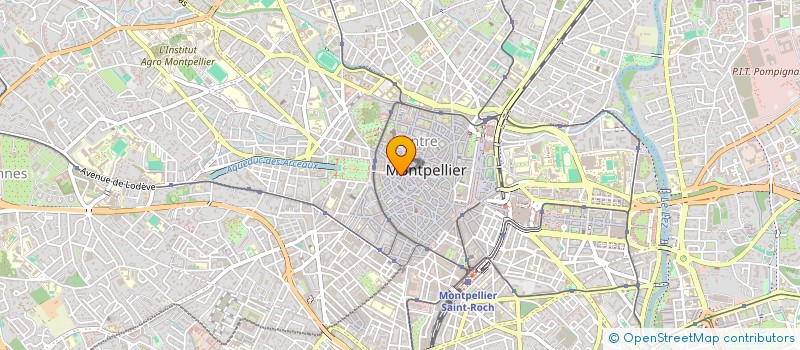 localisation de l'entreprise SYNDIC COPRO 14 RUE FOCH à MONTPELLIER