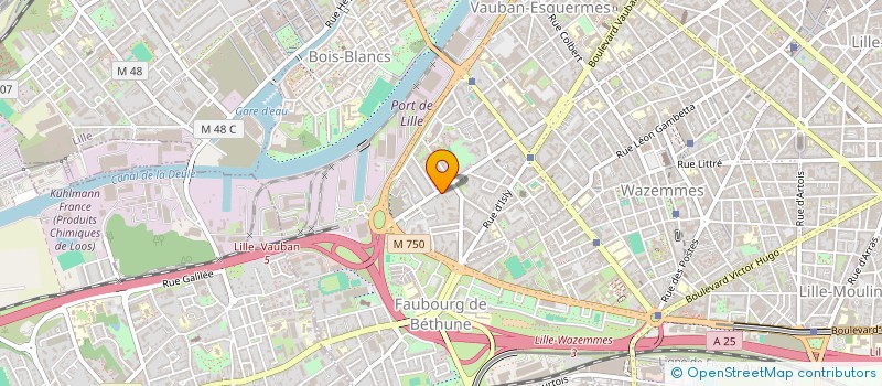 localisation de l'entreprise SYNDIC COPRO DU 145 RUE DE LA BASSEE à LILLE