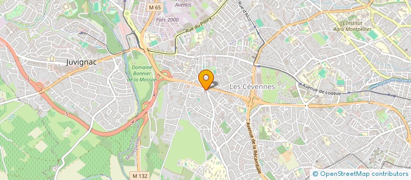 localisation de l'entreprise SYNDIC COPRO EURIDICE I à MONTPELLIER