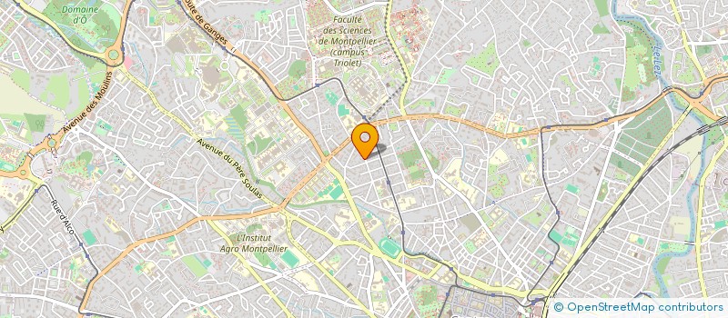 localisation de l'entreprise SYNDIC COPRO RES PARC IRENE à MONTPELLIER