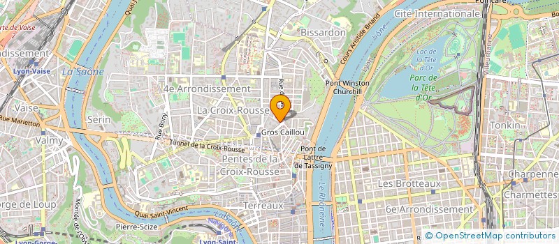 localisation de l'entreprise SYNDIC COPROP 20 RUE AUSTERLITZ  LYON