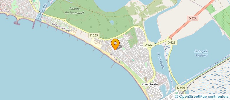 localisation de l'entreprise SYNDIC COPROP IMMEUBLE LE VACCARES  LE GRAU-DU-ROI