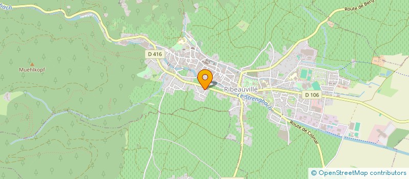 localisation de l'entreprise SYNDIC COPROP TERRASSES RIBEAUVILLE  RIBEAUVILLE