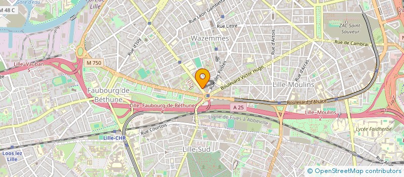 localisation de l'entreprise SYNDIC COPROPRIET 141 BD MONTEBELLO à LILLE