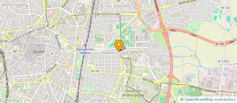 localisation de l'entreprise SYNDIC.COPROPRIETAIRES 36-38 RUE THIARD  DIJON