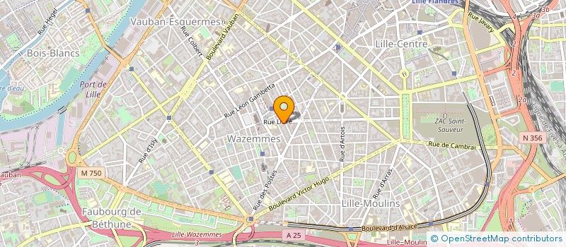 localisation de l'entreprise SYNDIC COPROPRIETE IMM 17 RUE LITTRE à LILLE