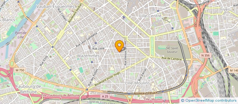 localisation de l'entreprise SYNDIC COPROPRIETE IMM 67 RUE CAUMARTIN à LILLE