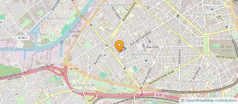 localisation de l'entreprise SYNDIC COPROPRIETE RES BRIGODE à LILLE