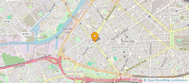 localisation de l'entreprise SYNDIC COPROPRIETE RES CORMONTAIGNE à LILLE