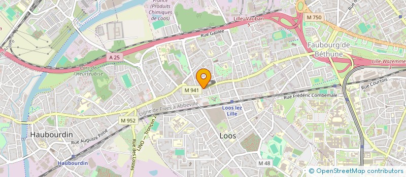 localisation de l'entreprise SYNDIC COPROPRIETE RES FOCH II  LOOS