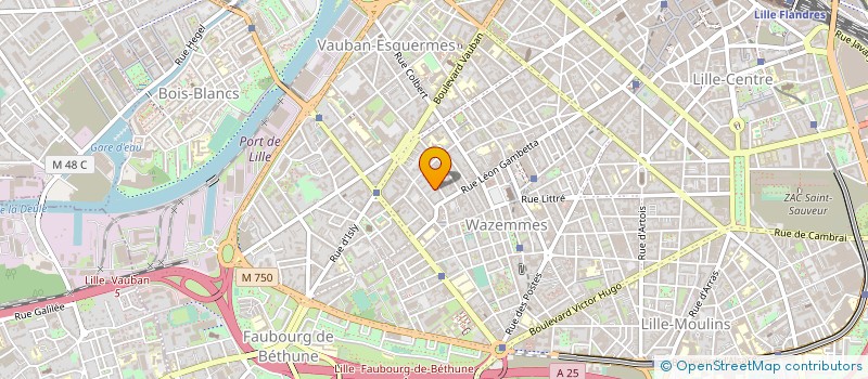 localisation de l'entreprise SYNDIC COPROPRIETE RES GAMBETTA LECLERCQ à LILLE