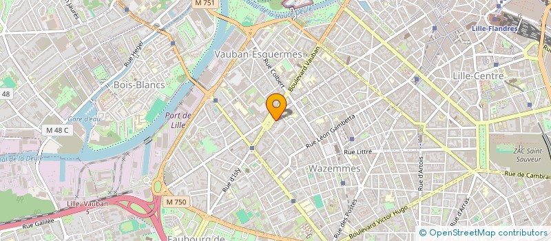 localisation de l'entreprise SYNDIC COPROPRIETE RES LES PLATANES à LILLE