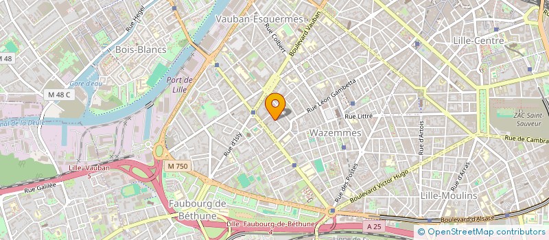 localisation de l'entreprise SYNDIC COPROPRIETE RES MONTAIGNE à LILLE