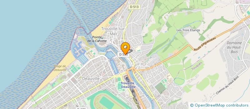 localisation de l'entreprise SYNDIC DE COPRO 65 RUE DES ECORES  TROUVILLE-SUR-MER