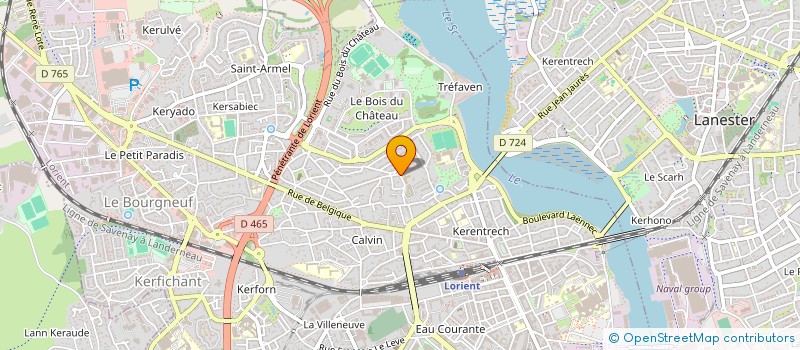 localisation de l'entreprise SYNDIC DE COPROPRIETE BENEVOLE  LORIENT