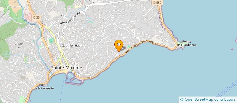localisation de l'entreprise SYNDIC DE COPROPRIETE EL CANTARELLO à SAINTE-MAXIME