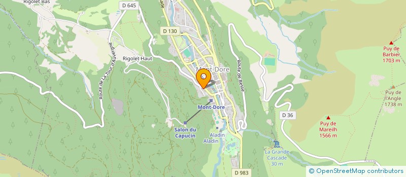 localisation de l'entreprise SYNDIC JN IMMO  MONT-DORE