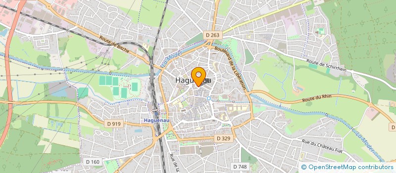 localisation de l'entreprise SYNDIC NAT PEDIATRES FRANCAIS  HAGUENAU