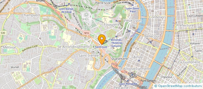 localisation de l'entreprise SYNDIC. PROFESS. MISSIONNA.DES TROPIQUES à LYON