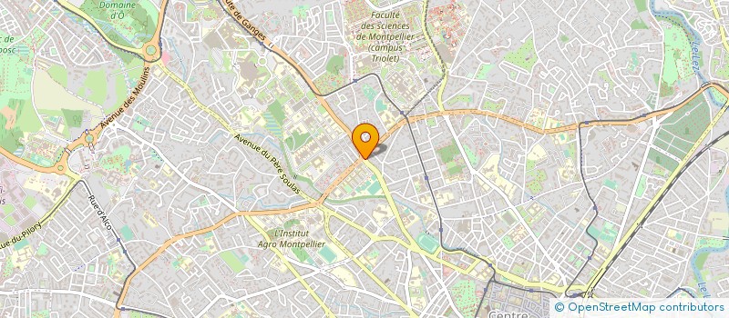 localisation de l'entreprise SYNDIC REGION HOSPITALISAT LANGUED ROUSS à MONTPELLIER