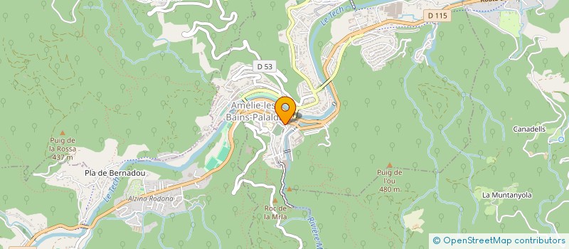 localisation de l'entreprise SYNDIC RES DES FLEURS  AMELIE-LES-BAINS-PALALDA