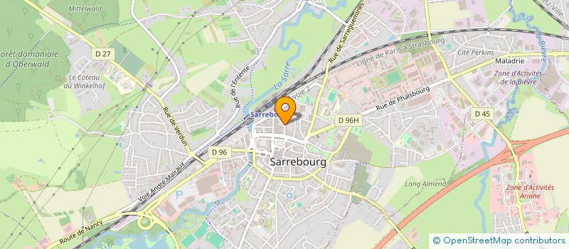 localisation de l'entreprise SYNDIC RESIDENCE PASTEUR  SARREBOURG