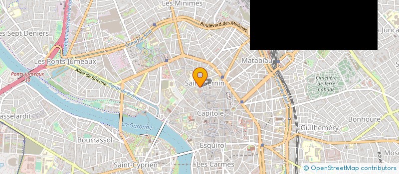 localisation de l'entreprise SYNDICAT BROCANTEURS HTE GARONNE à TOULOUSE
