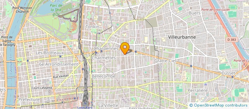 localisation de l'entreprise SYNDICAT COPROPRIETAIRES 12 RUE MAGENTA  VILLEURBANNE