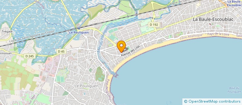 localisation de l'entreprise SYNDICAT COPROPRIETAIRES à LA BAULE-ESCOUBLAC