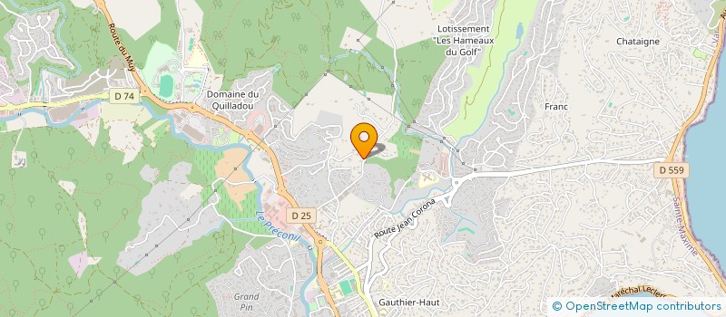 localisation de l'entreprise SYNDICAT COPROPRIETAIRES DOMAINE DES PINS BLEUS à SAINTE-MAXIME
